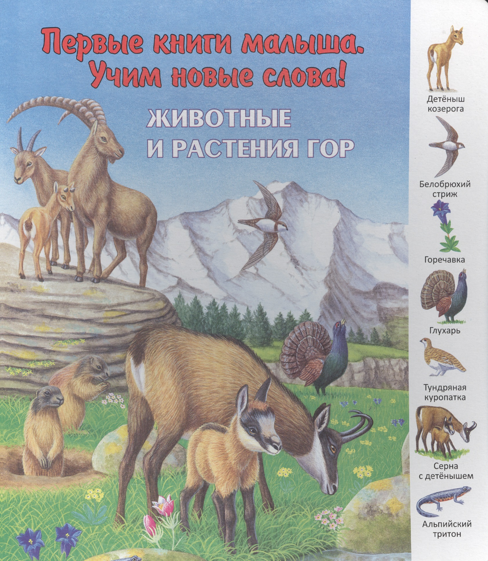 Животные и растения гор (ПерКнМалУчНовСл) (картон) Комарова