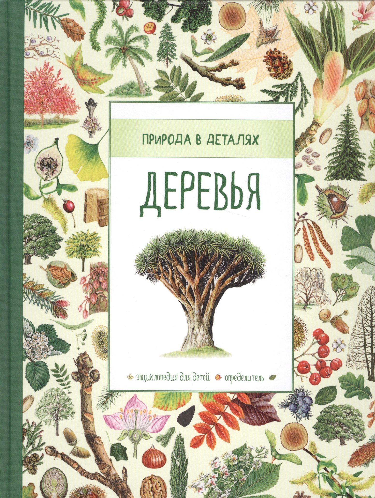 Про деревья