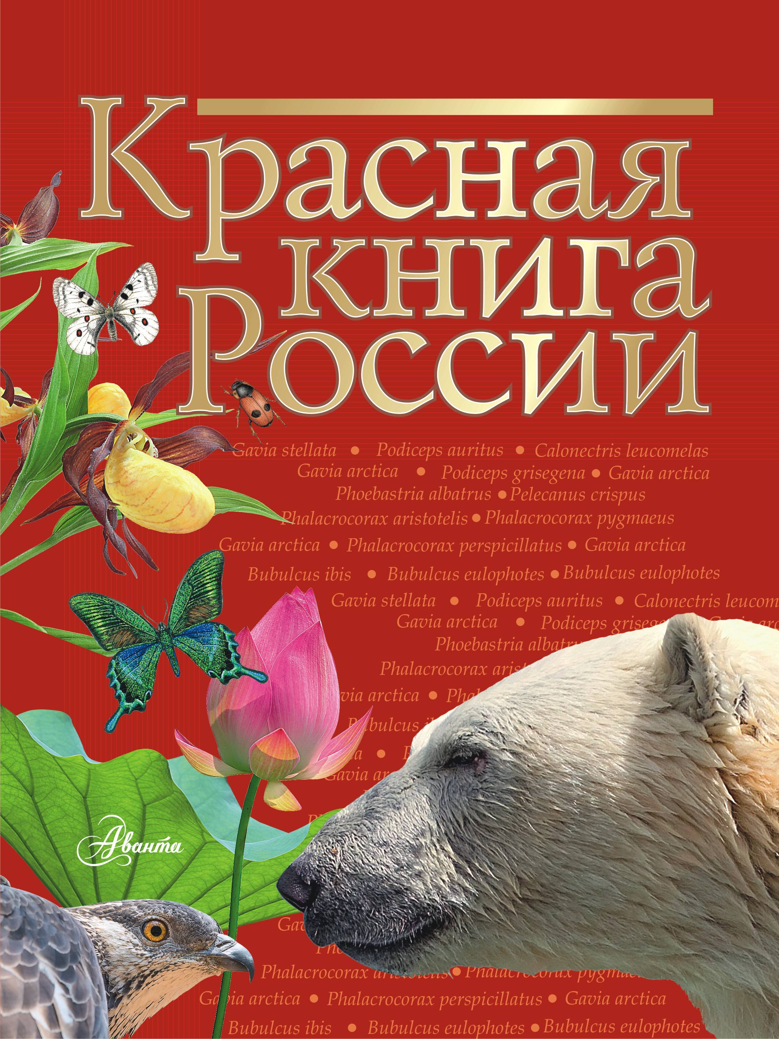 Красная книга России шинкаренко инга исчезающий мир рассказы о редких и исчезающих животных и растениях