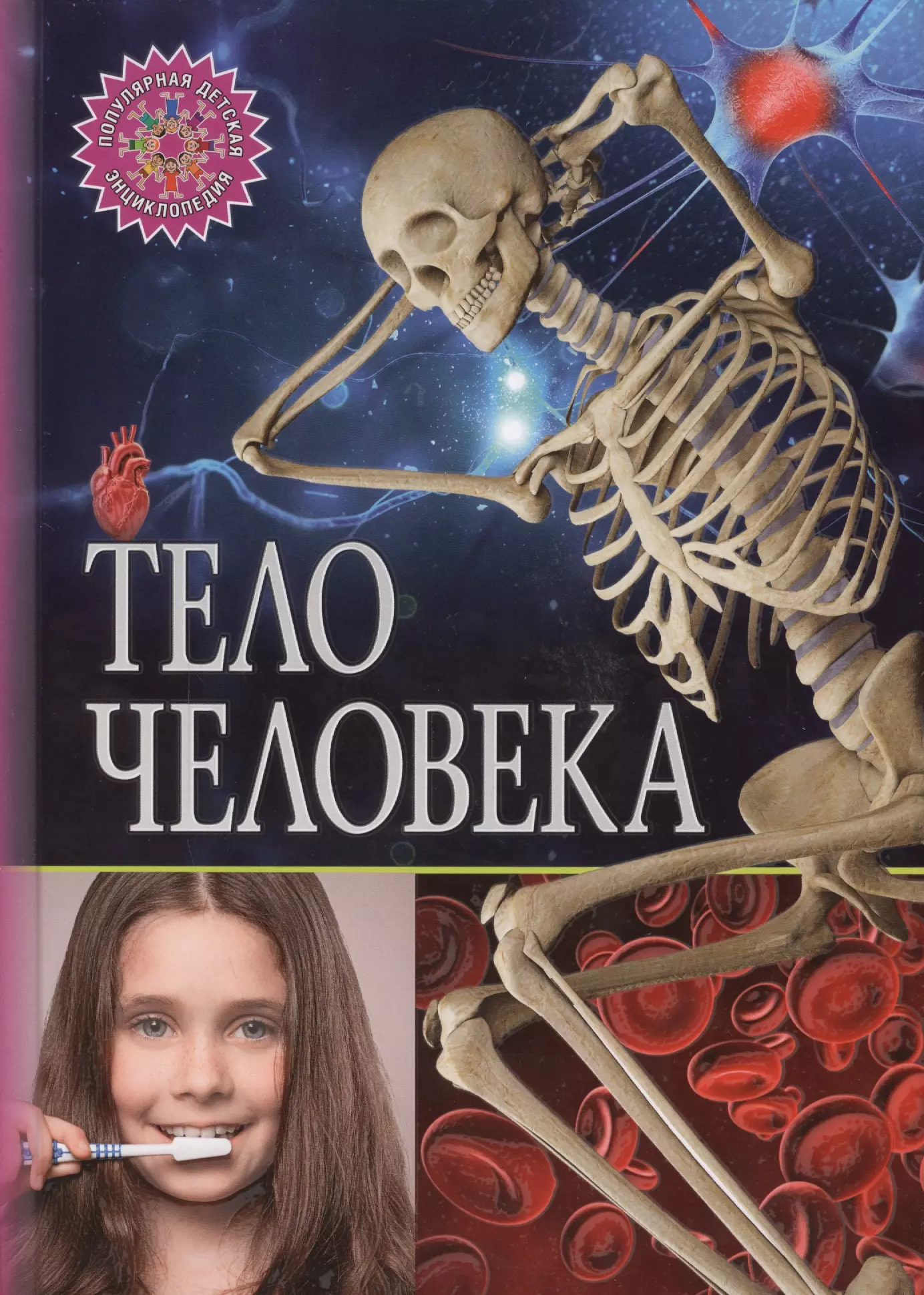 None Тело человека