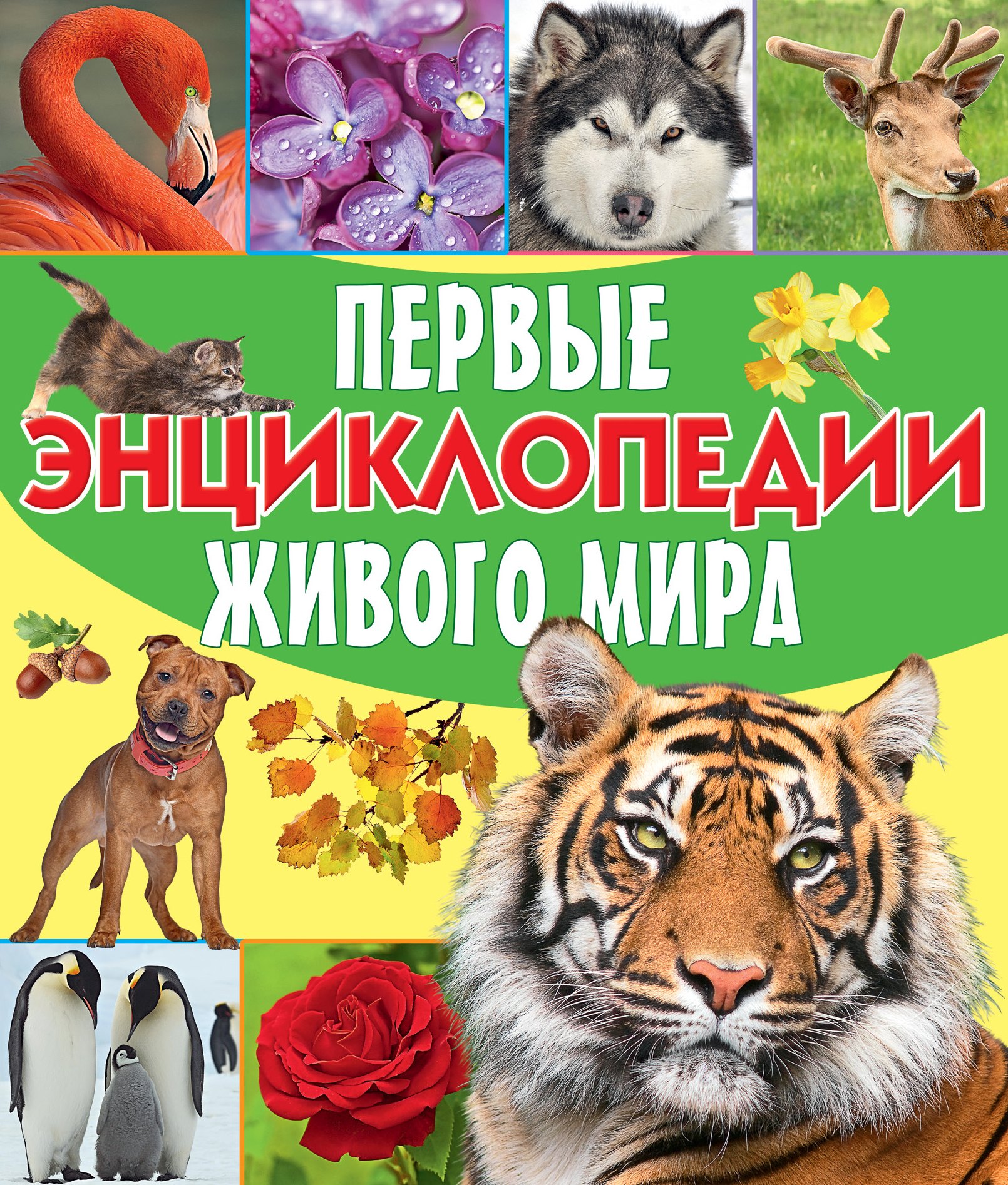

Первые энциклопедии живого мира