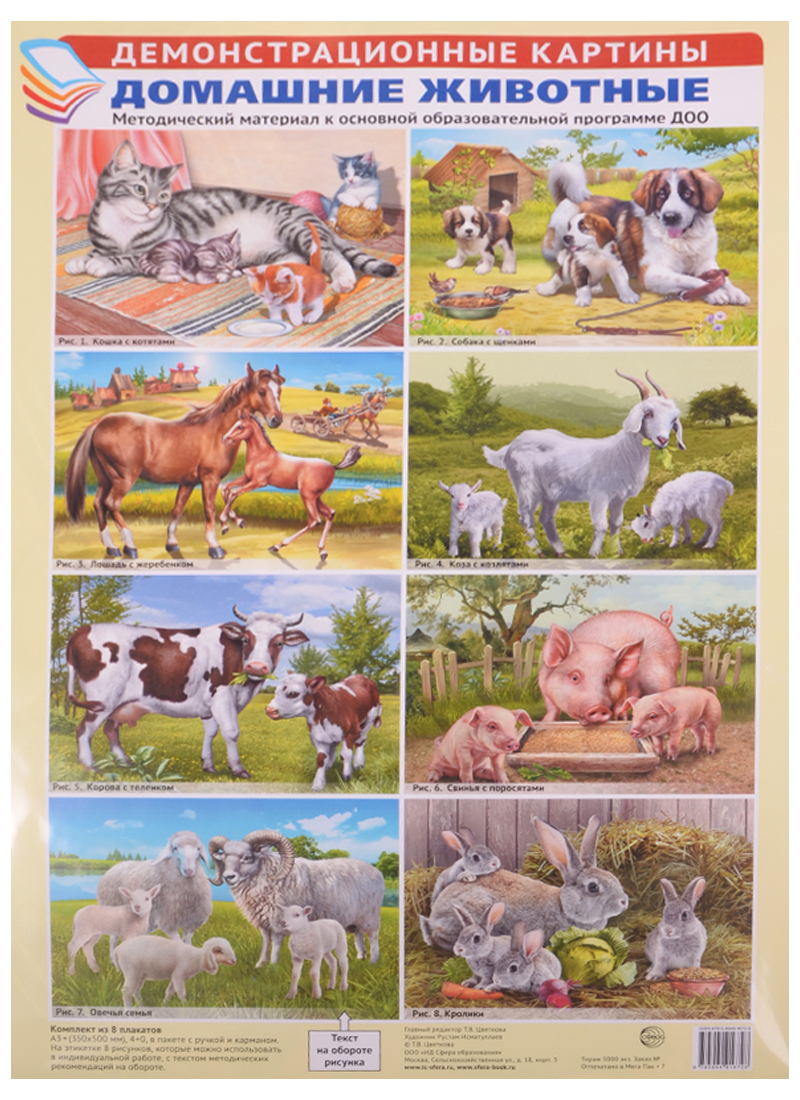 Демонстрационные картины. Домашние животные. Методический материал к основной образовательной программе ДОО комплект плакатов животные мира 4020