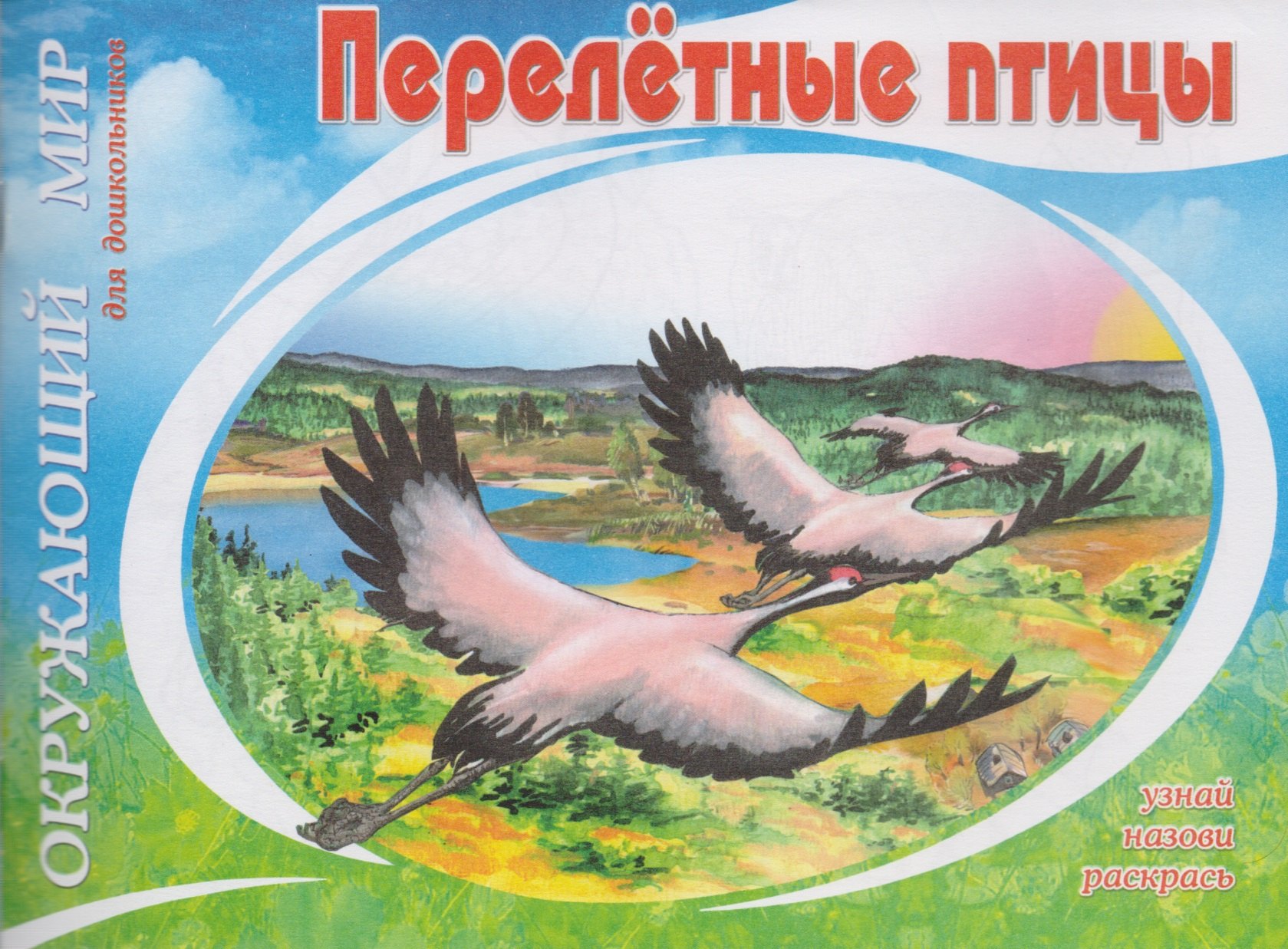

Перелетные птицы