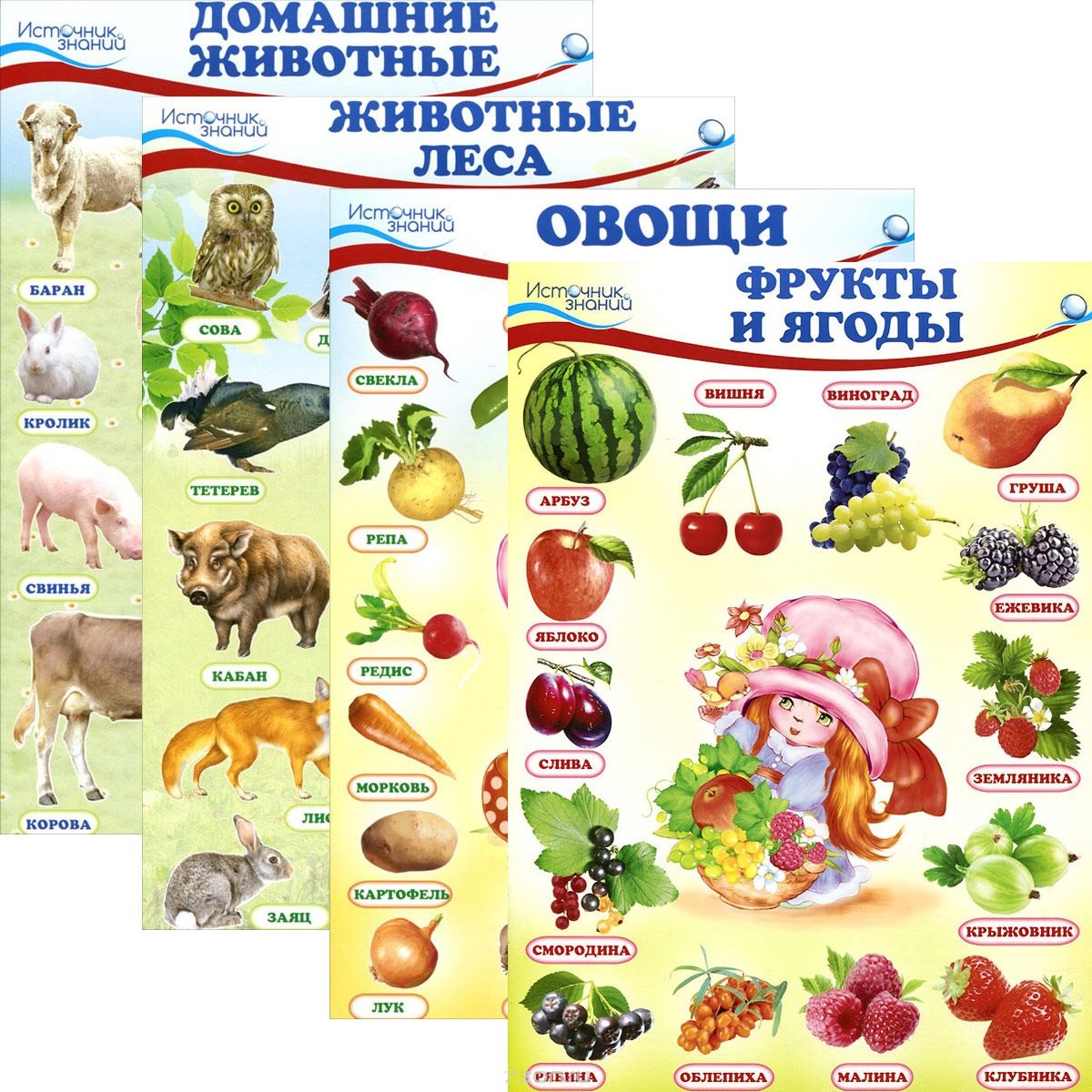 Комплект познавательных мини-плакатов: Домашние животные, животные леса, фрукты и ягоды, овощи