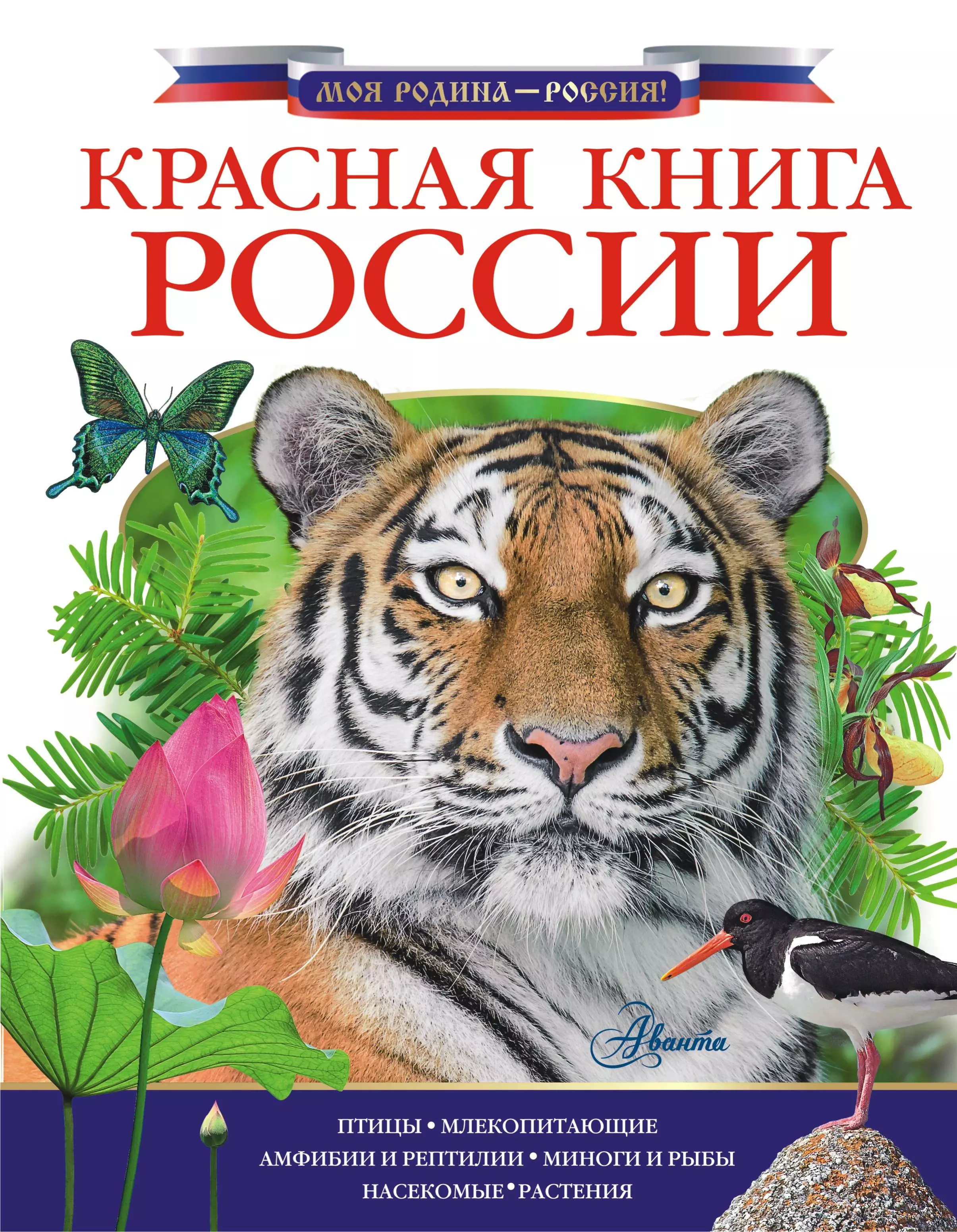 None Красная книга России