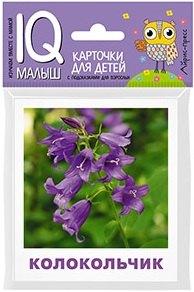 

Умный малыш. Что растёт на клумбе