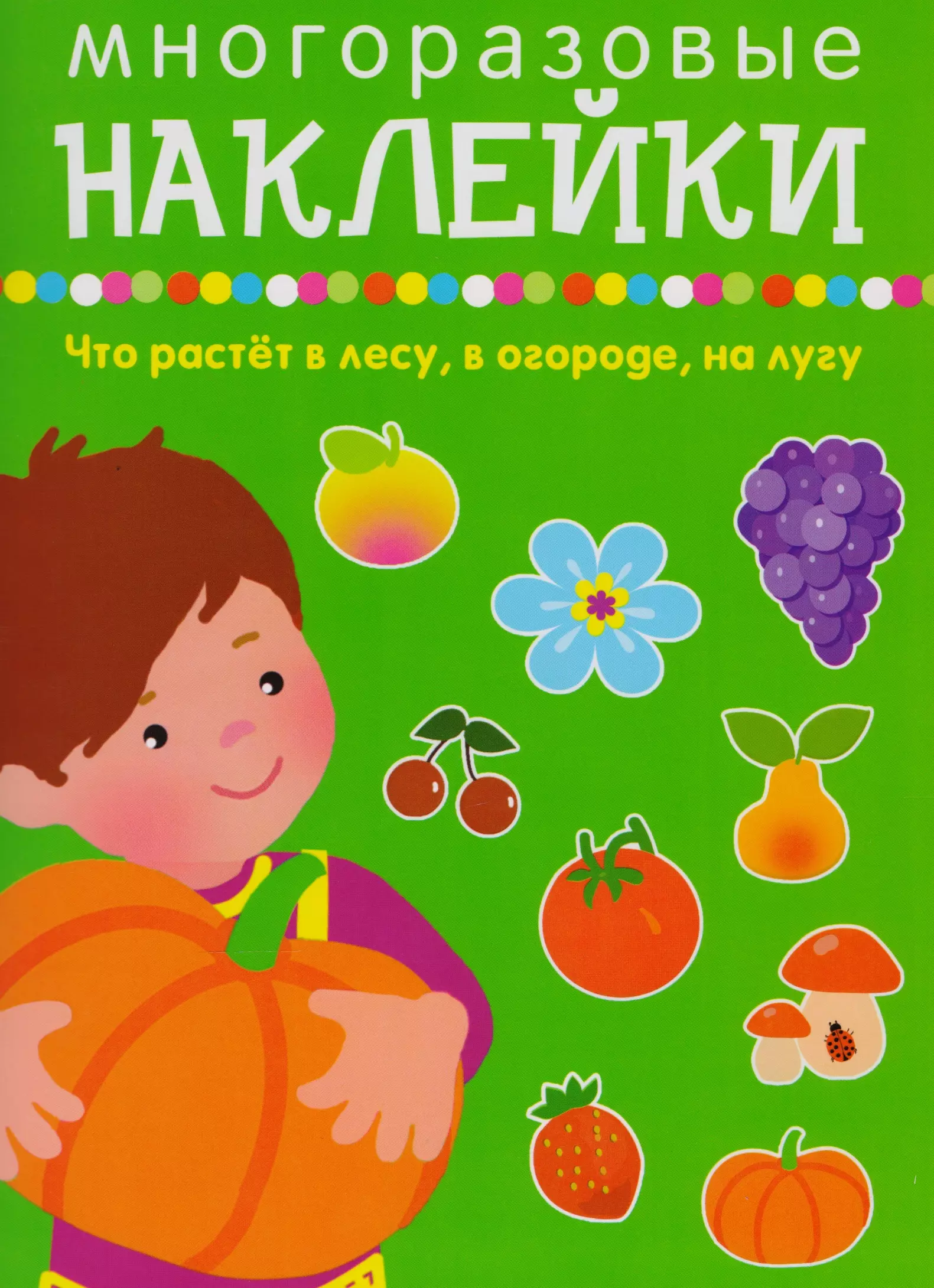 None Что растет в лесу, в огороде, на лугу