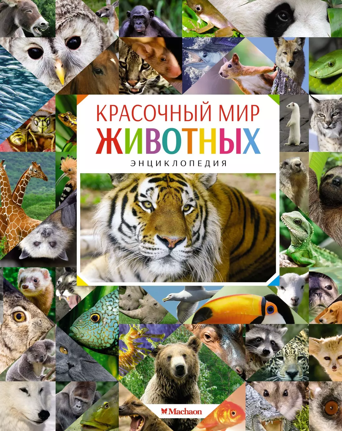 Балле Кристин Красочный мир животных