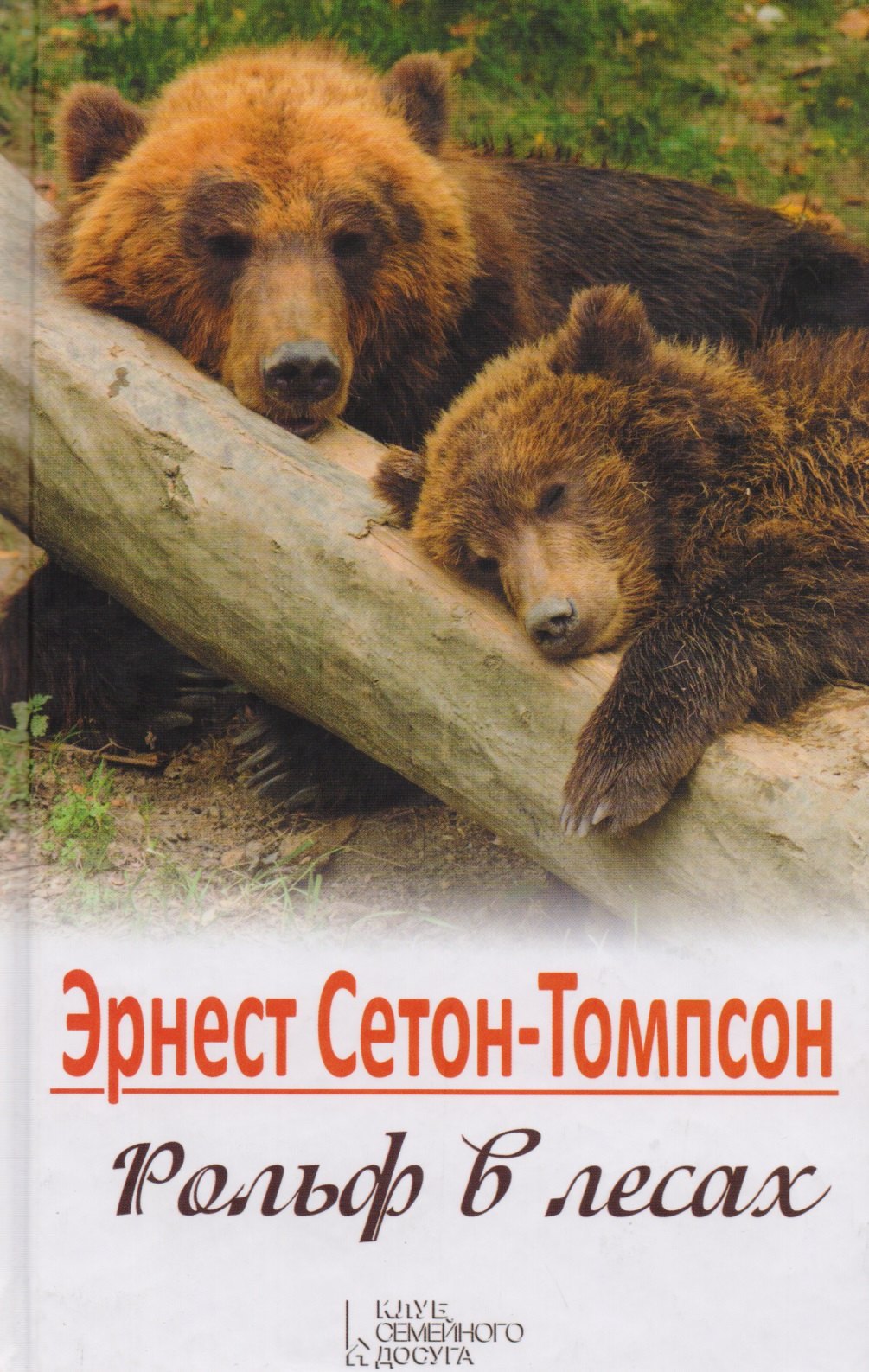 

Рольф в лесах