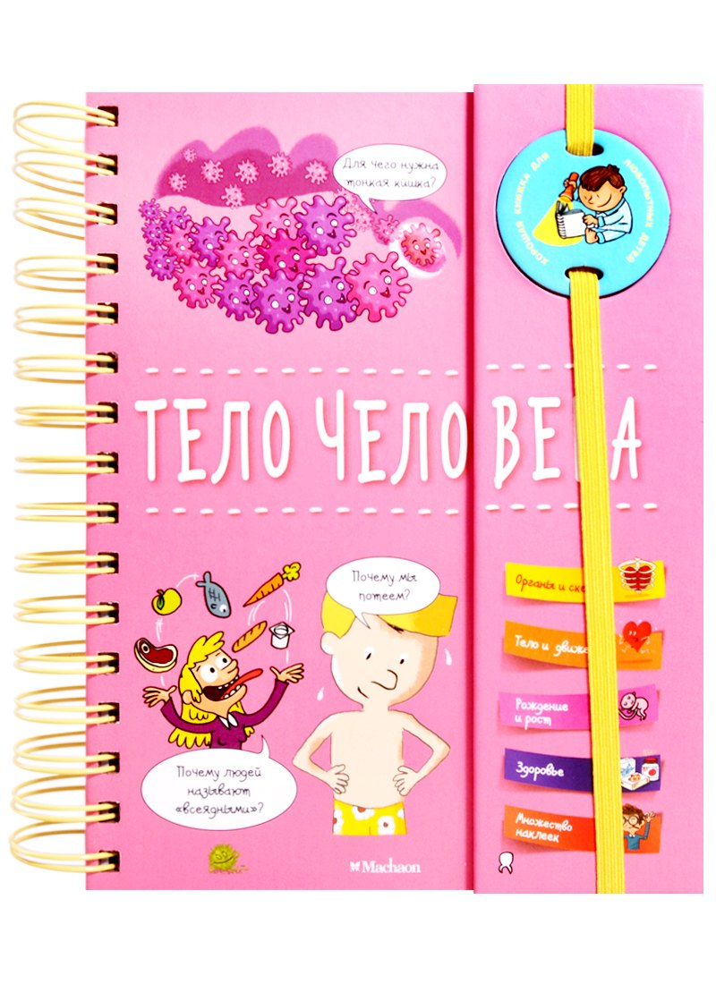 

Тело человека