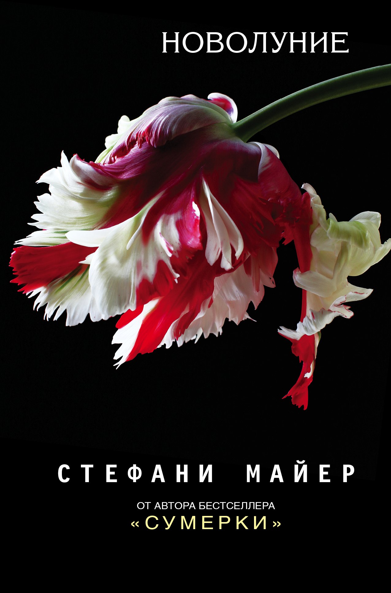 

Новолуние