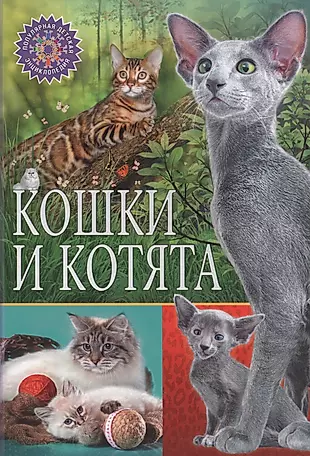 Кошки и котята — 2622832 — 1