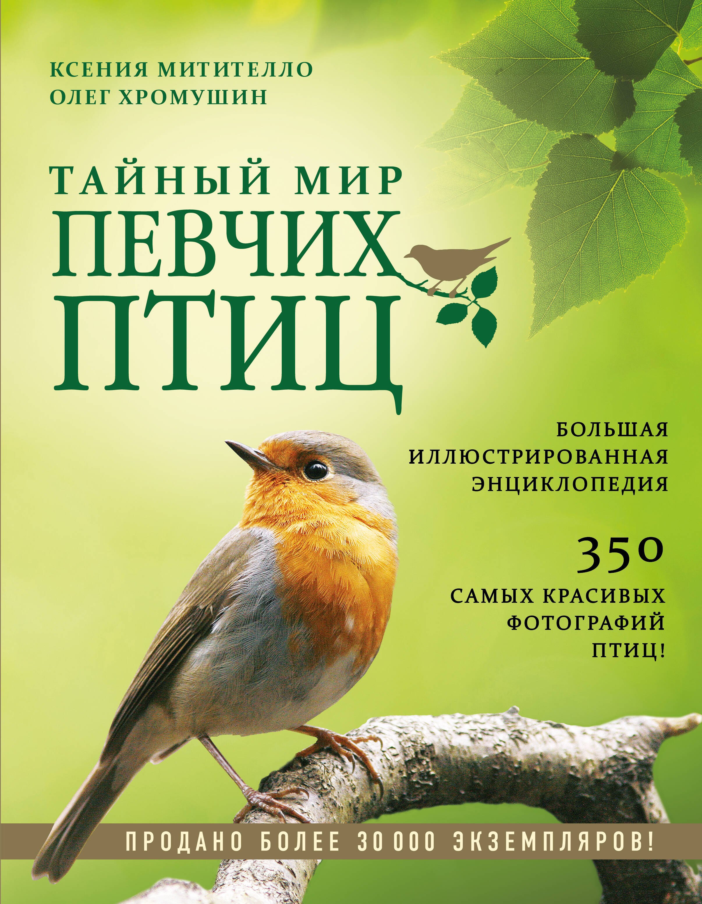 

Тайный мир певчих птиц. Большая иллюстрированная энциклопедия