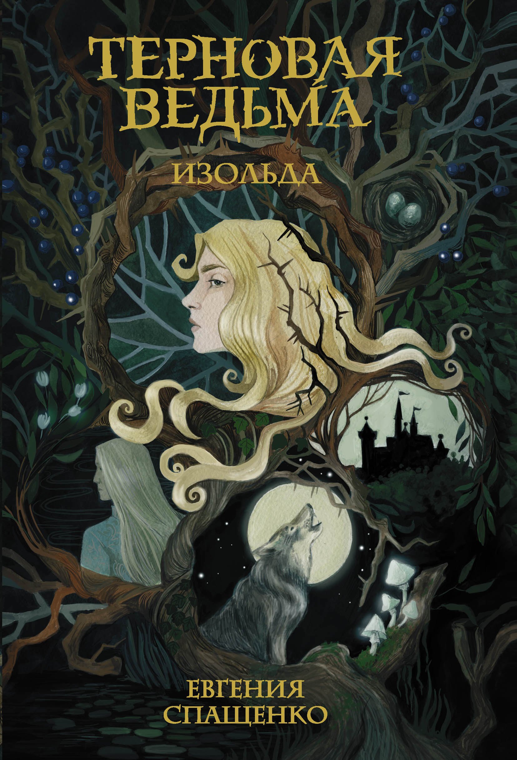 Ведьмина падь аудиокнига. Детские книги про ведьм.