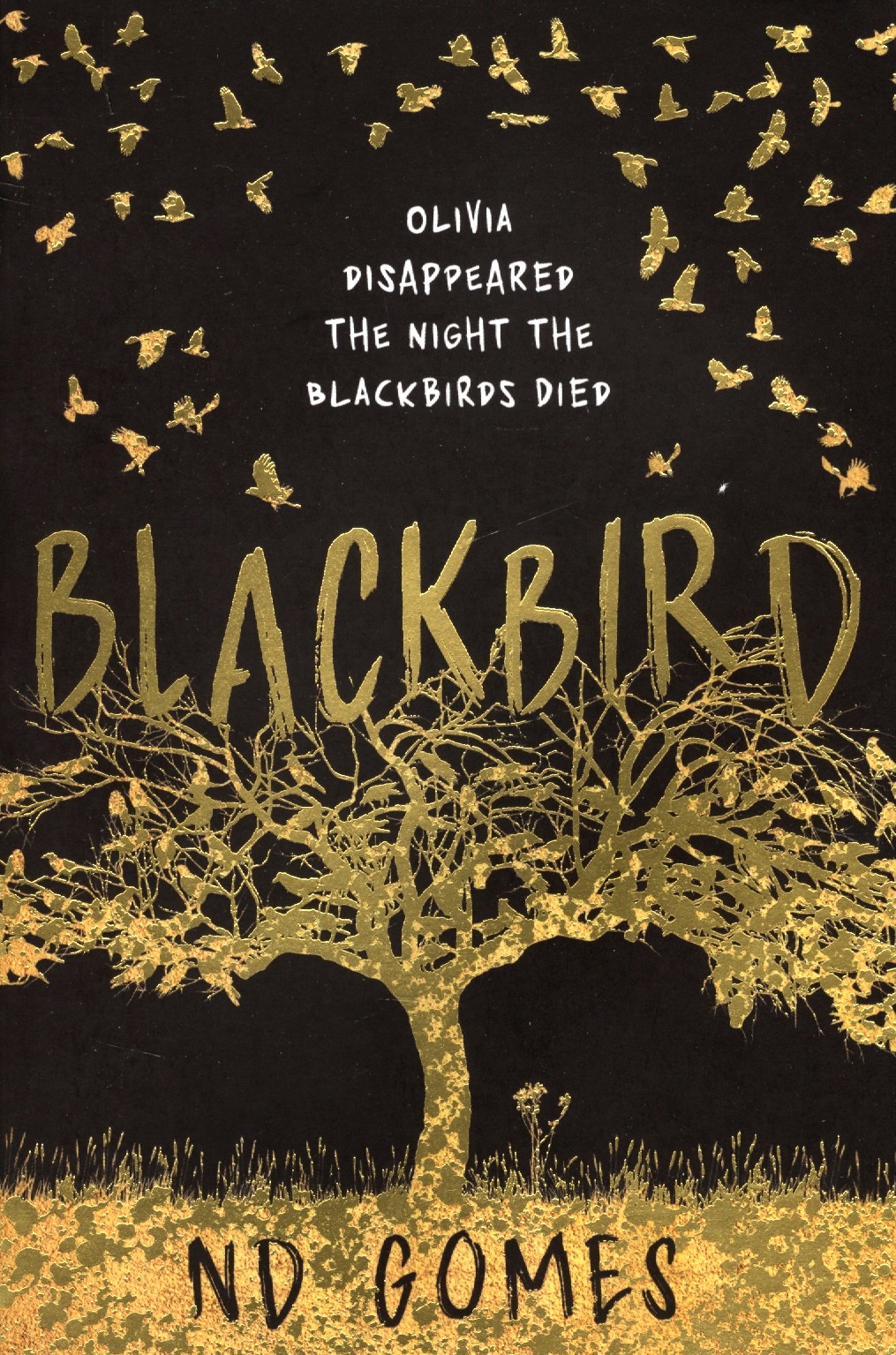 Blackbird 