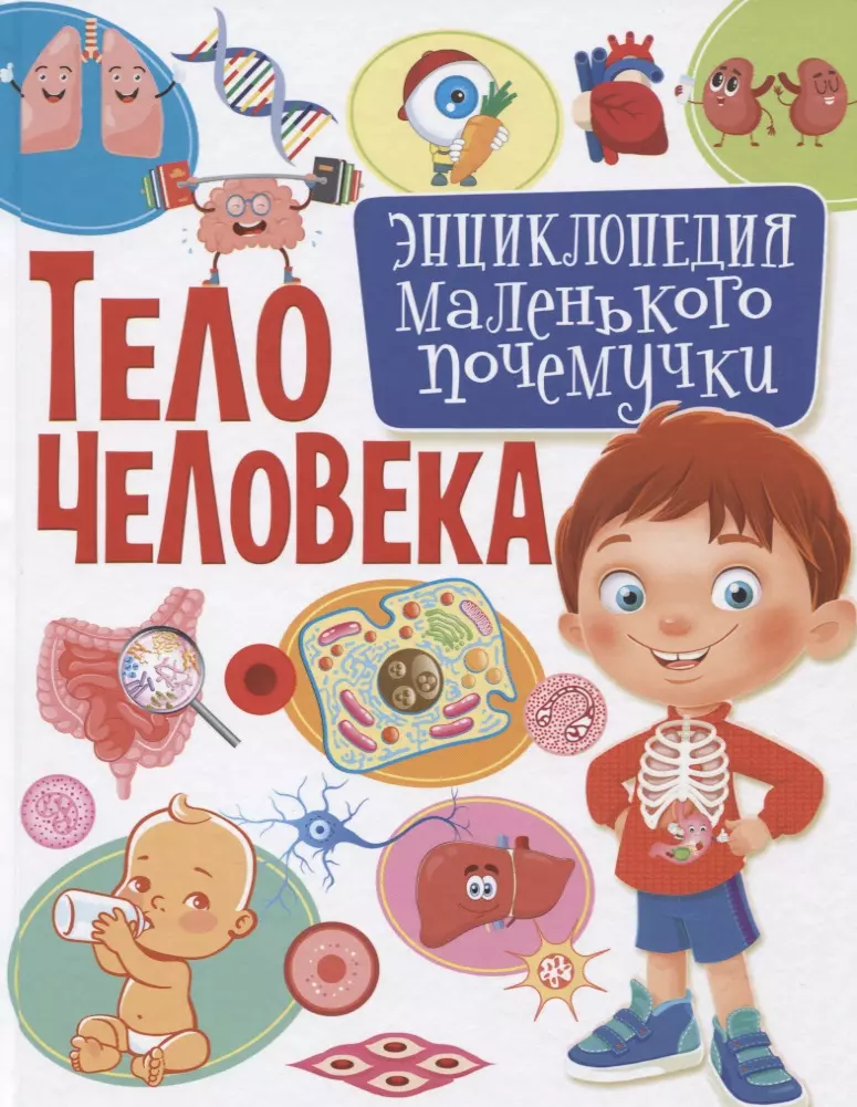 Кулакова Елена Сергеевна Тело человека.Энциклопедия маленького почемучки