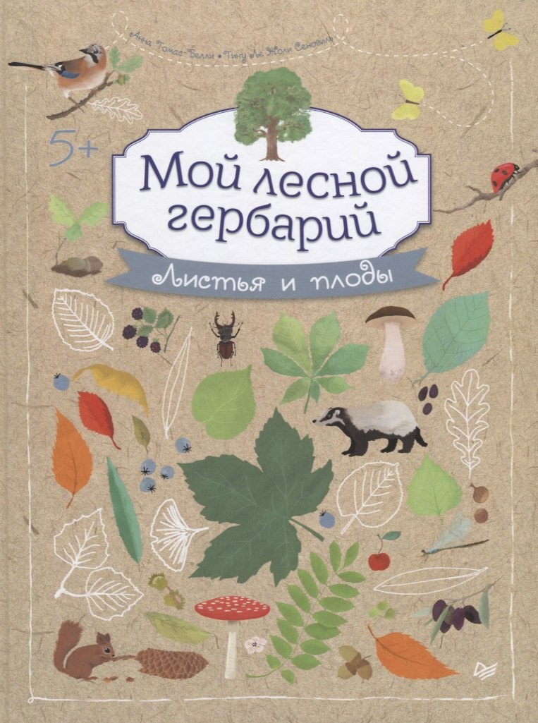 

Мой лесной гербарий