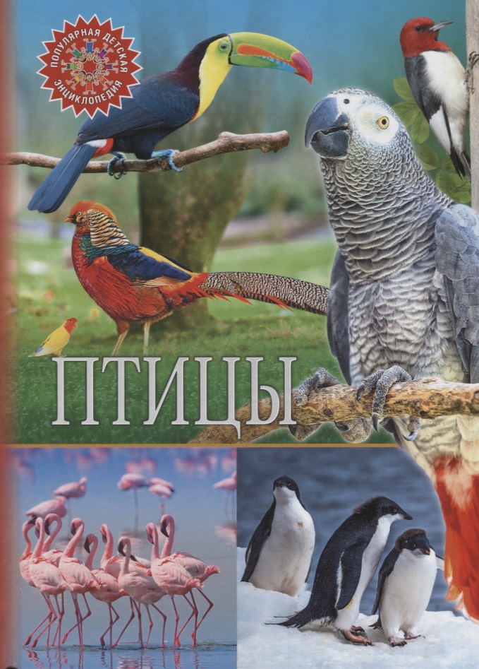 Птицы птицы популярная детская энциклопедия