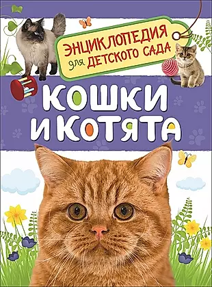 Кошки и котята. Энциклопедия для детского сада — 2651372 — 1