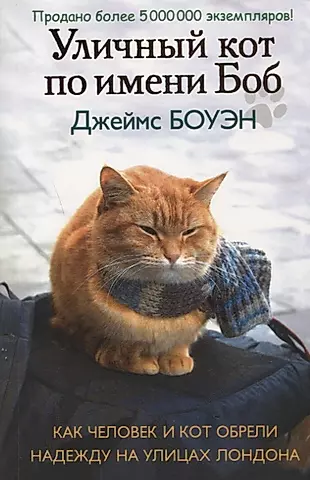 Уличный кот по имени Боб. Как человек и кот обрели надежду на улицах Лондона — 2652106 — 1