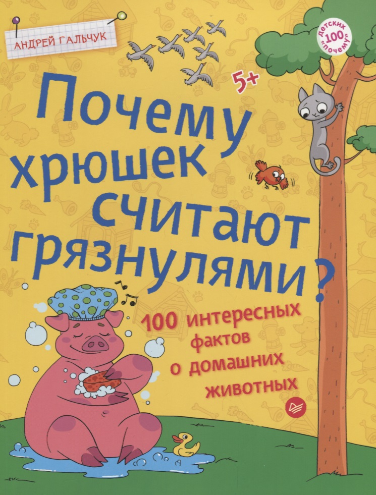 Гальчук Андрей Петрович Почему хрюшек считают грязнулями? 100 интересных фактов о домашних животных