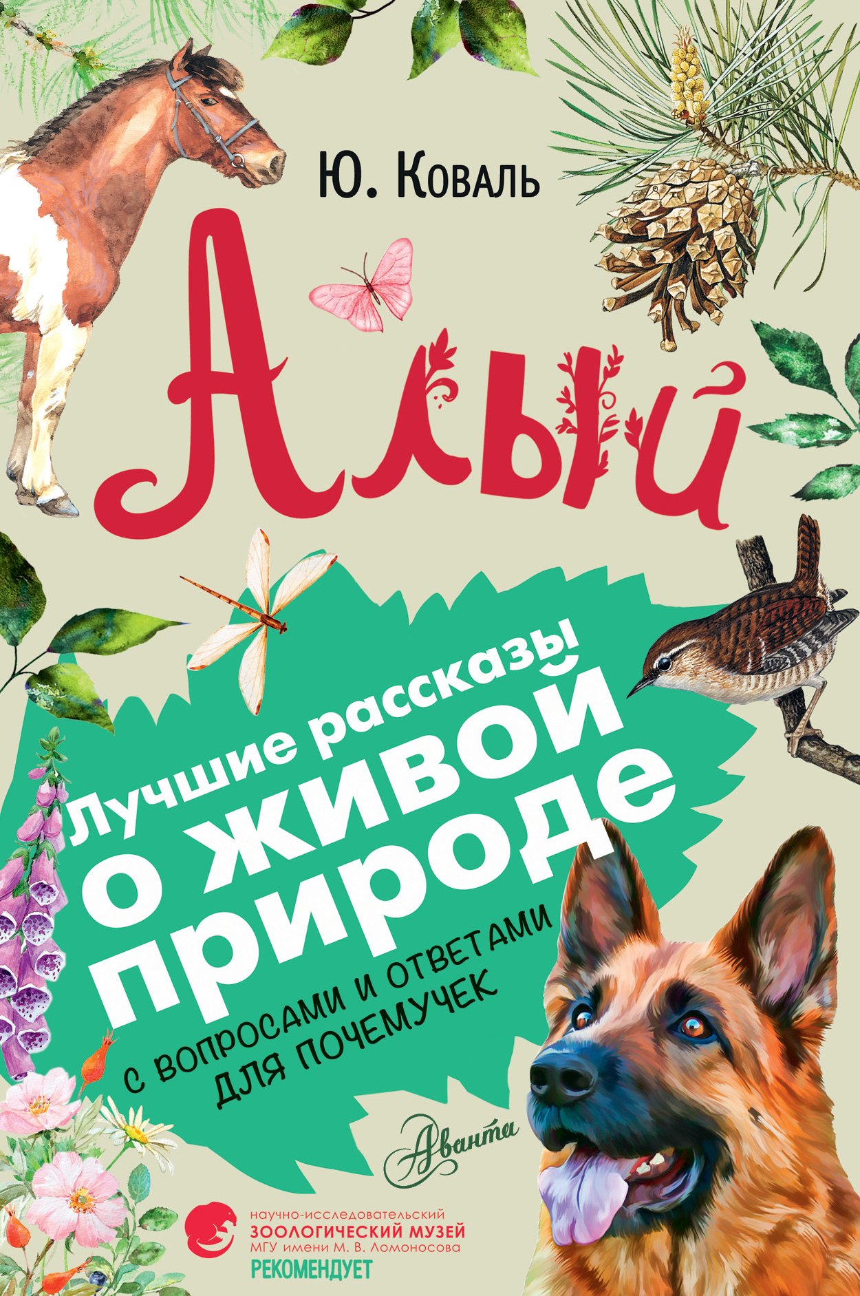 

Алый. С вопросами и ответами для почемучек