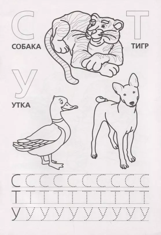 Раскраска с прописями А5 Азбука животных