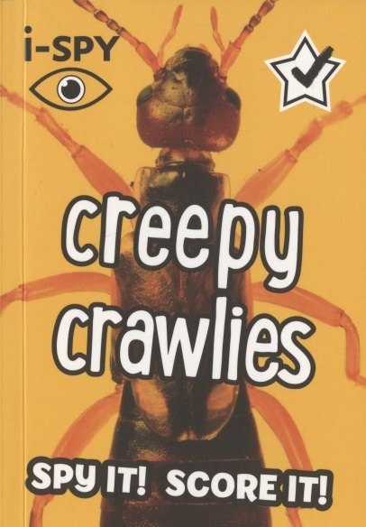 

i-SPY Creepy crawlies: What can you spot