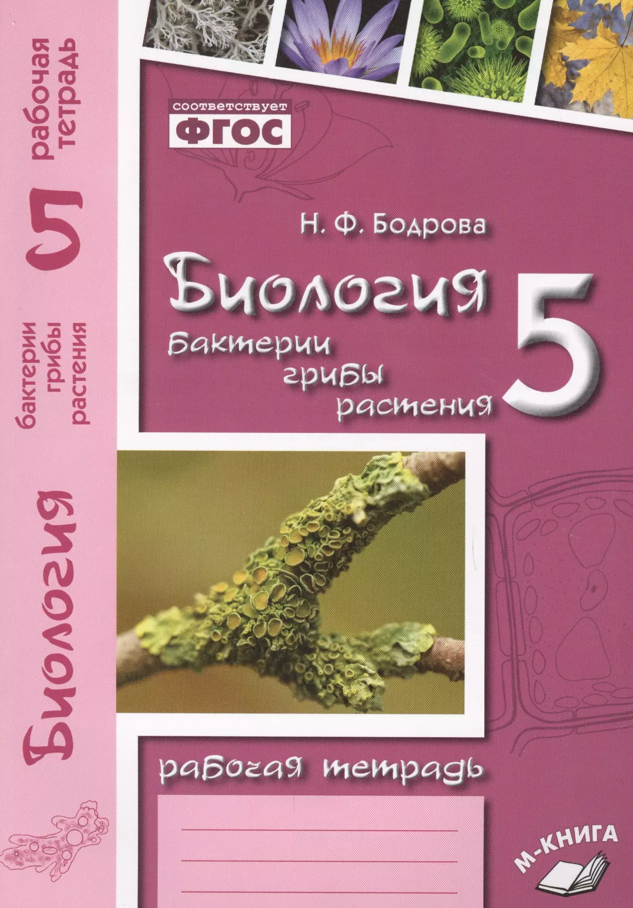 Бодрова Наталья Федоровна Биология. 5 класс. Бактерии, грибы, растения. Рабочая тетрадь к учебнику В.В. Пасечника Биология. 5 класс. Бактерии, грибы, растения