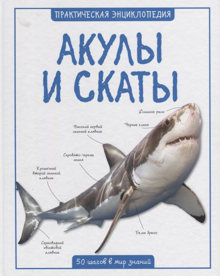 

Акулы и скаты