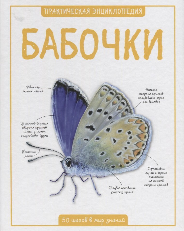 

Бабочки