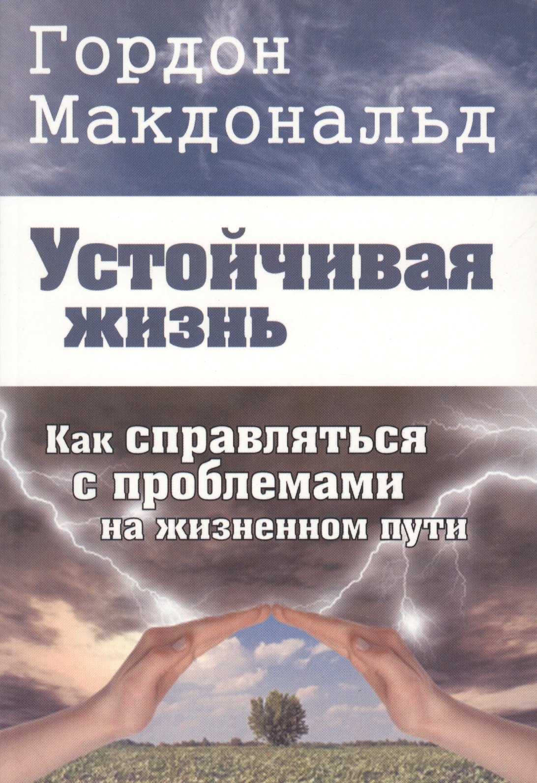 

Устойчивая жизнь. Как справляться с проблемами на жизненном пути