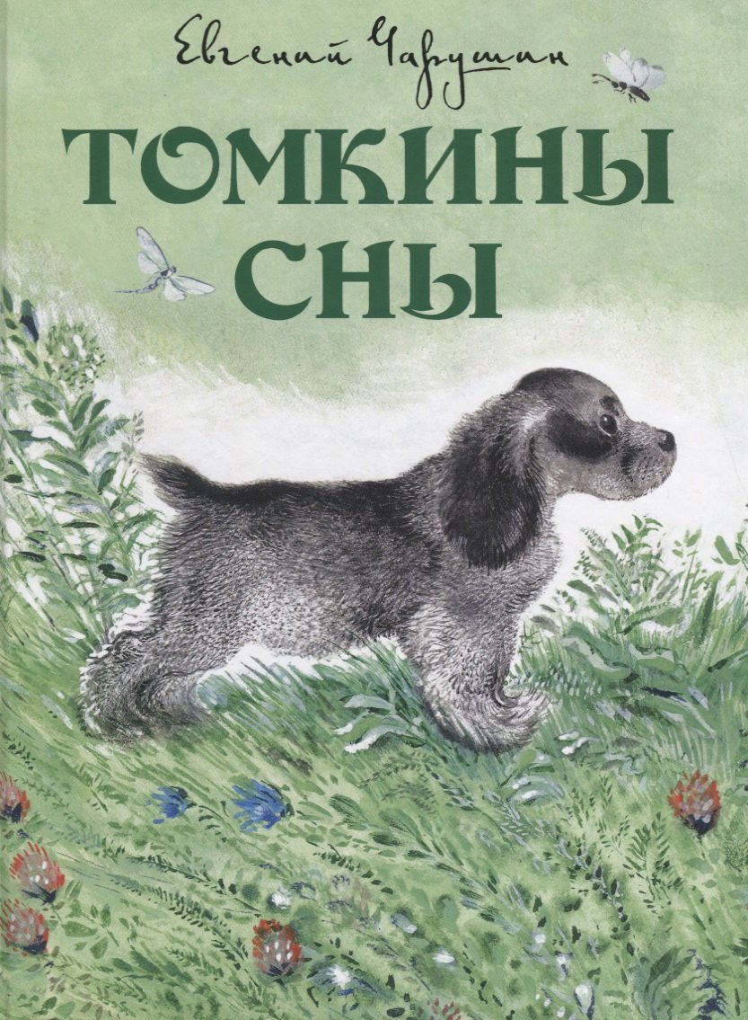 

Томкины сны