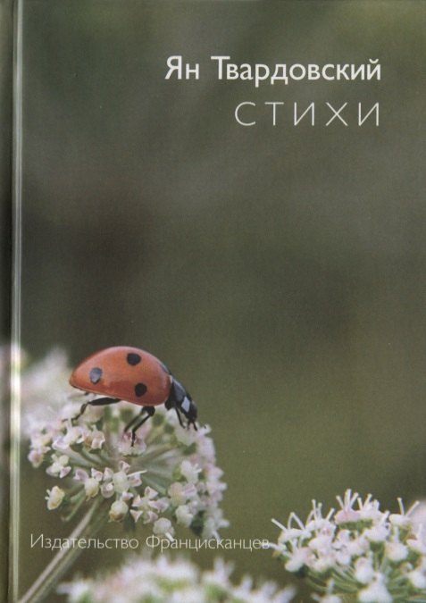 

Стихи
