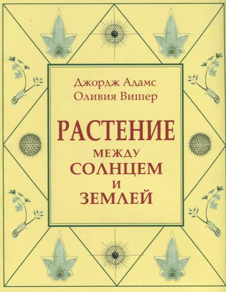 Адамс Джордж - Растение между солнцем и землей