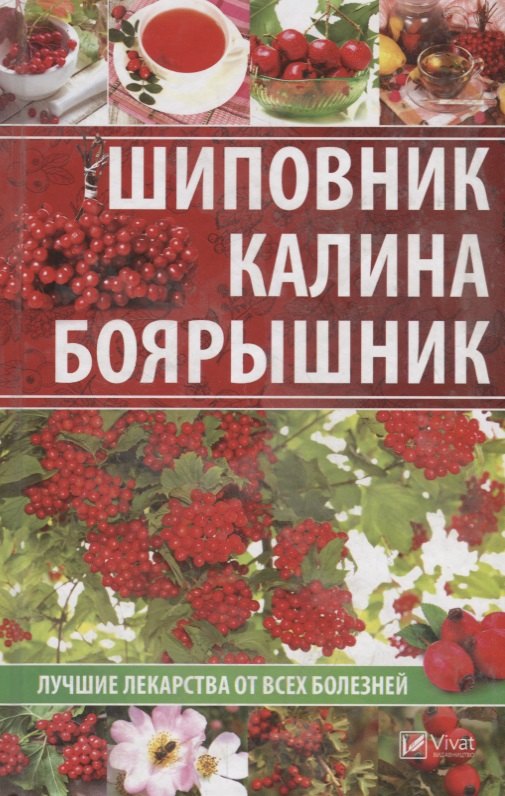 

Шиповник, калина, боярышник. Лучшие лекарства от всех болезней