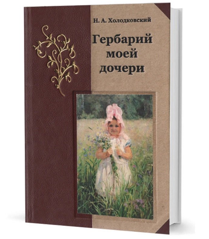 

Гербарий моей дочери