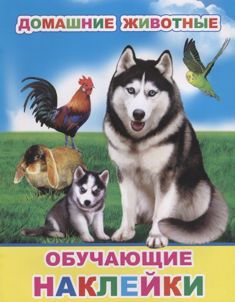 

Домашние животные. Обучающие наклейки