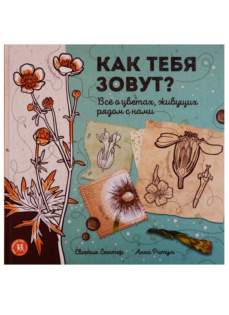 

Как тебя зовут Все о цветах, живущих рядом с нами