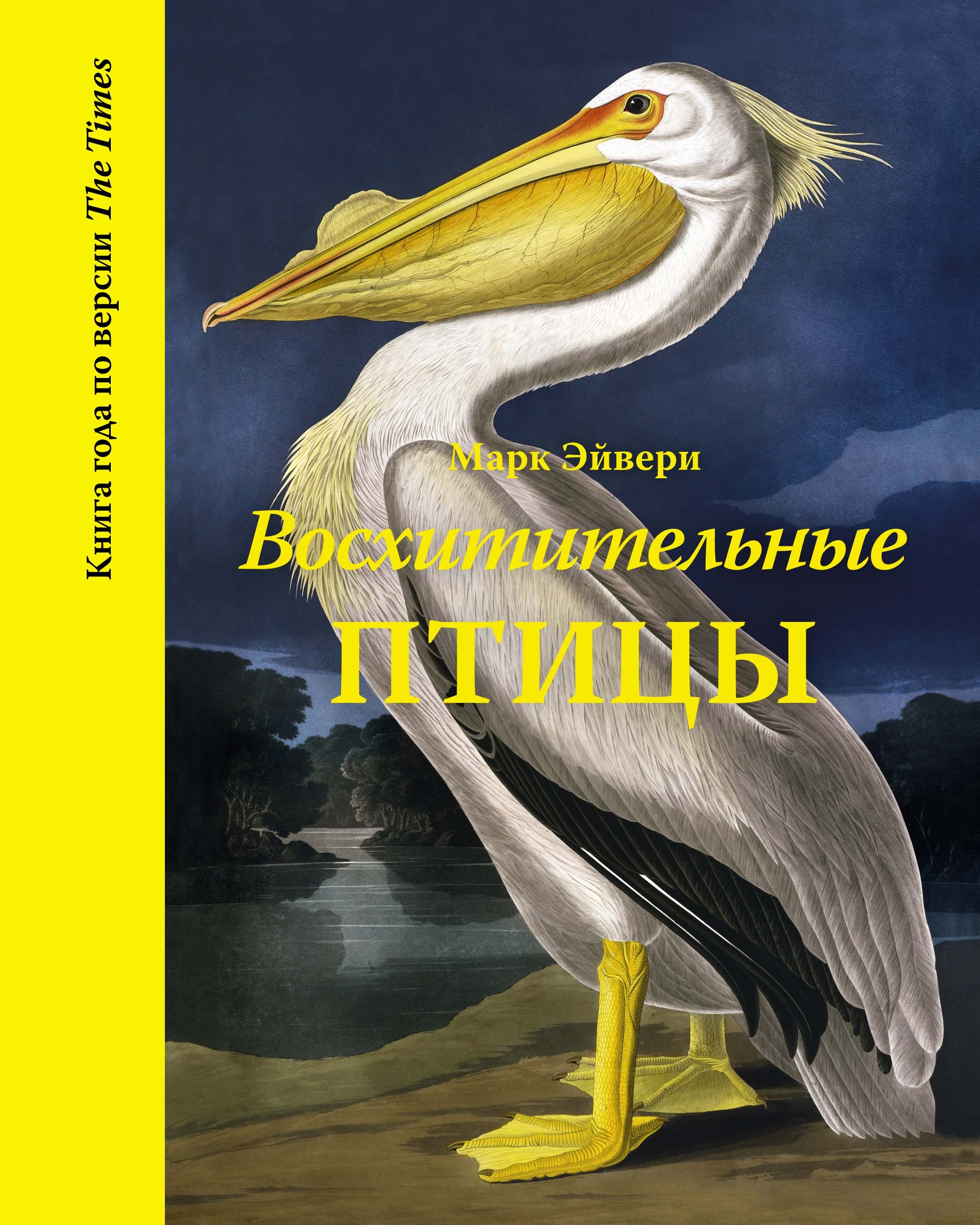 

Восхитительные птицы