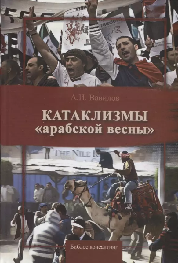 Вавилов Александр Иосифович Катаклизмы арабской весны