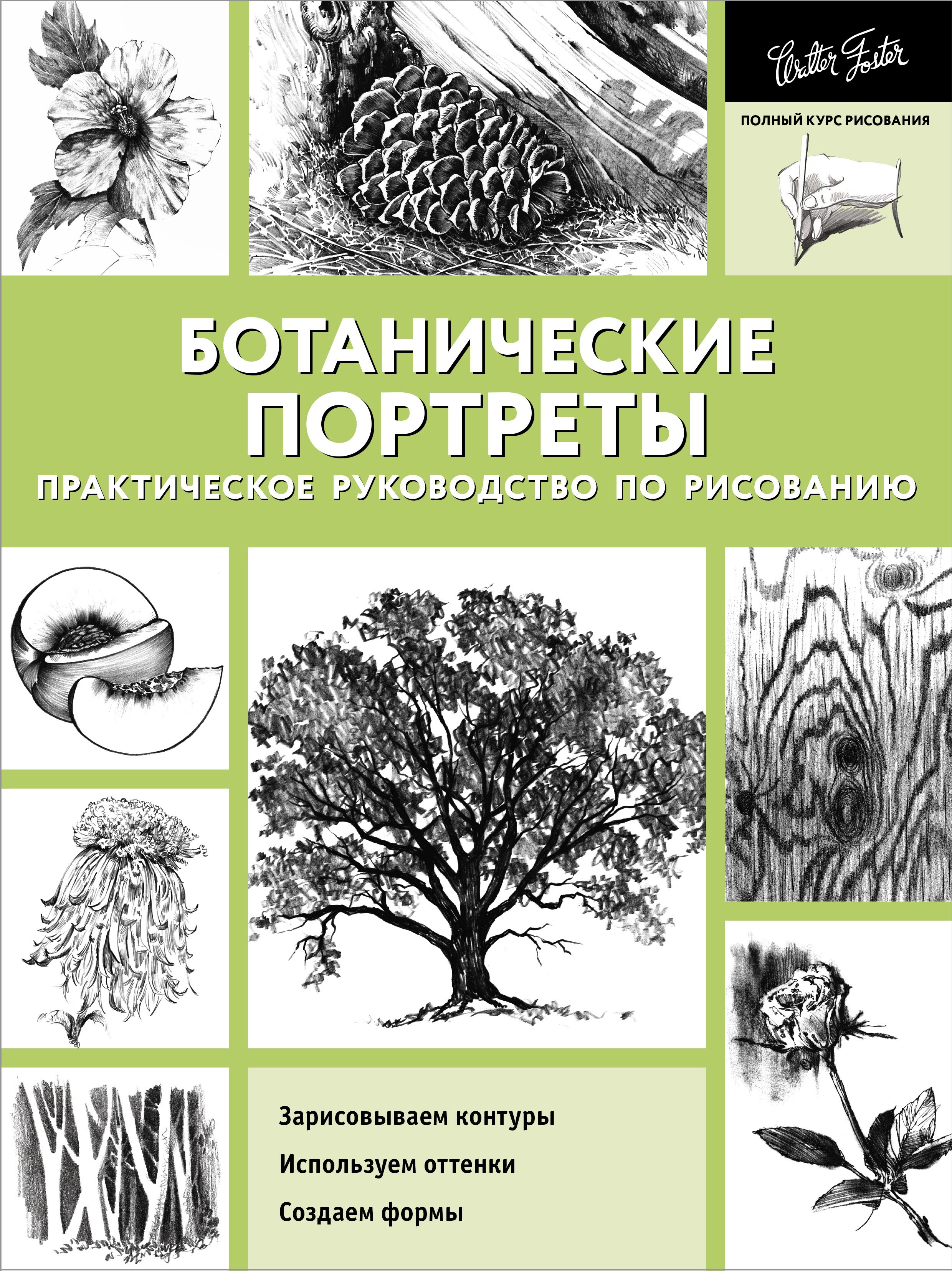 

Ботанические портреты. Практическое руководство по рисованию