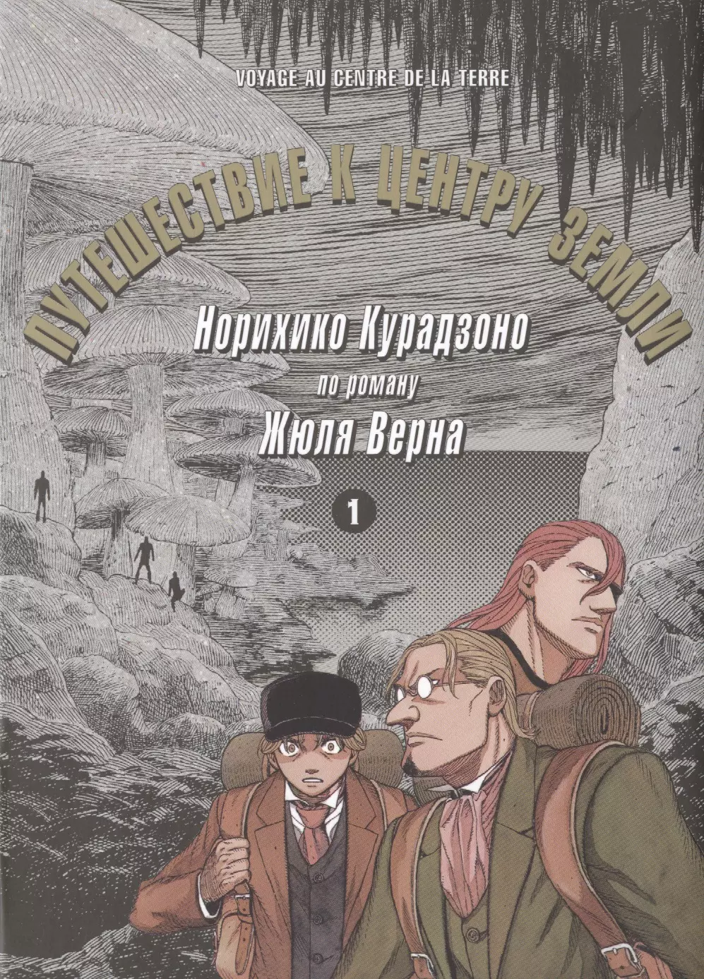 Курадзоно Норихико Путешествие к центру земли. Том 1 курадзоно норихико путешествие к центру земли том 1