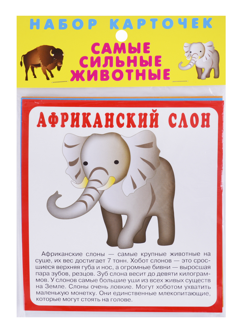 Набор карточек Самые сильные животные самые сильные животные искатель россия