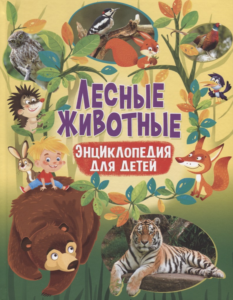 Лесные животные. Энциклопедия для детей книга аст энциклопедия для детей животные