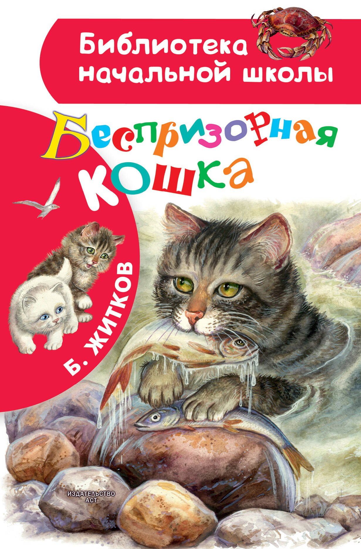 

Беспризорная кошка