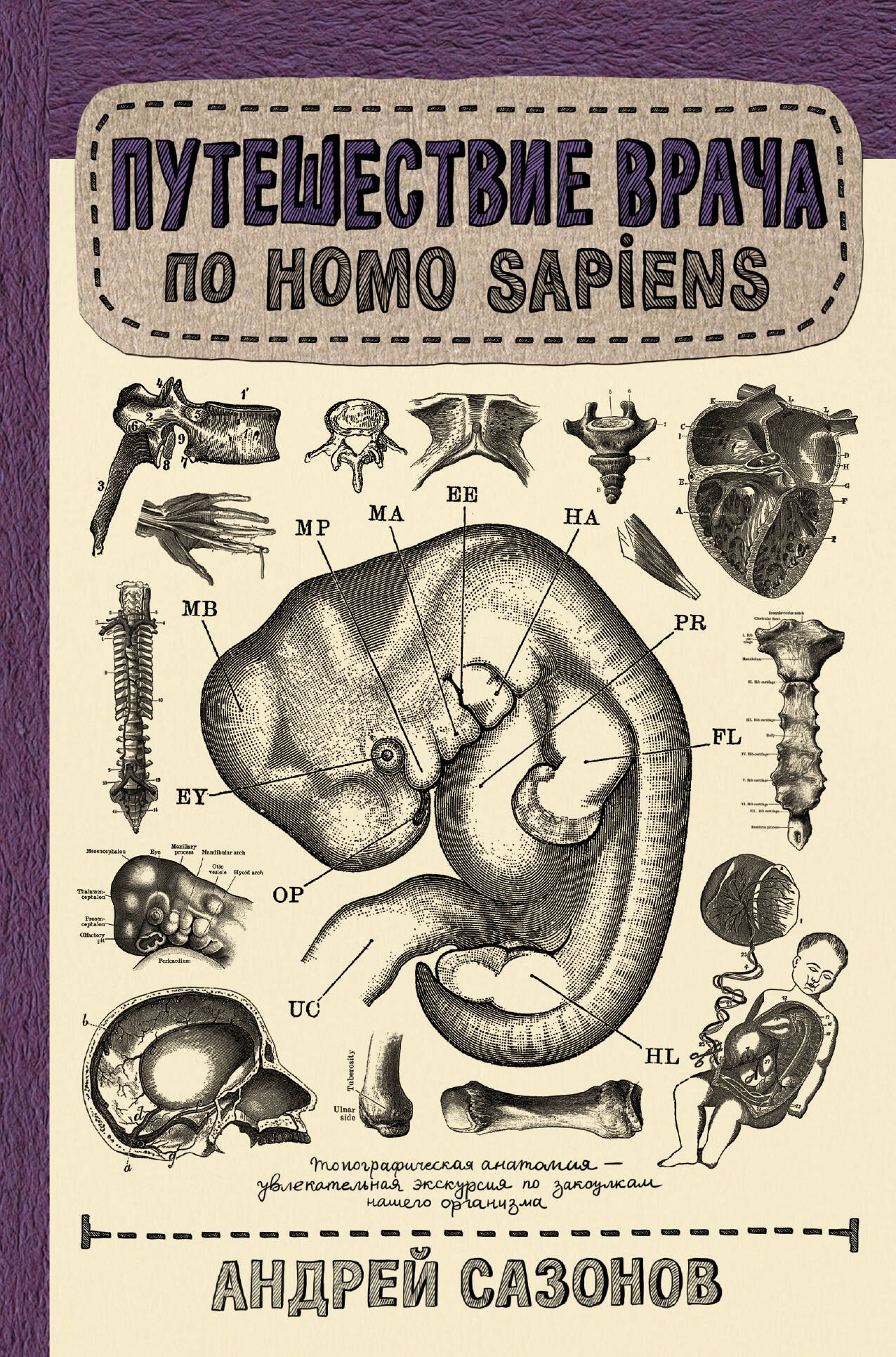 

Путешествие врача по Homo Sapiens