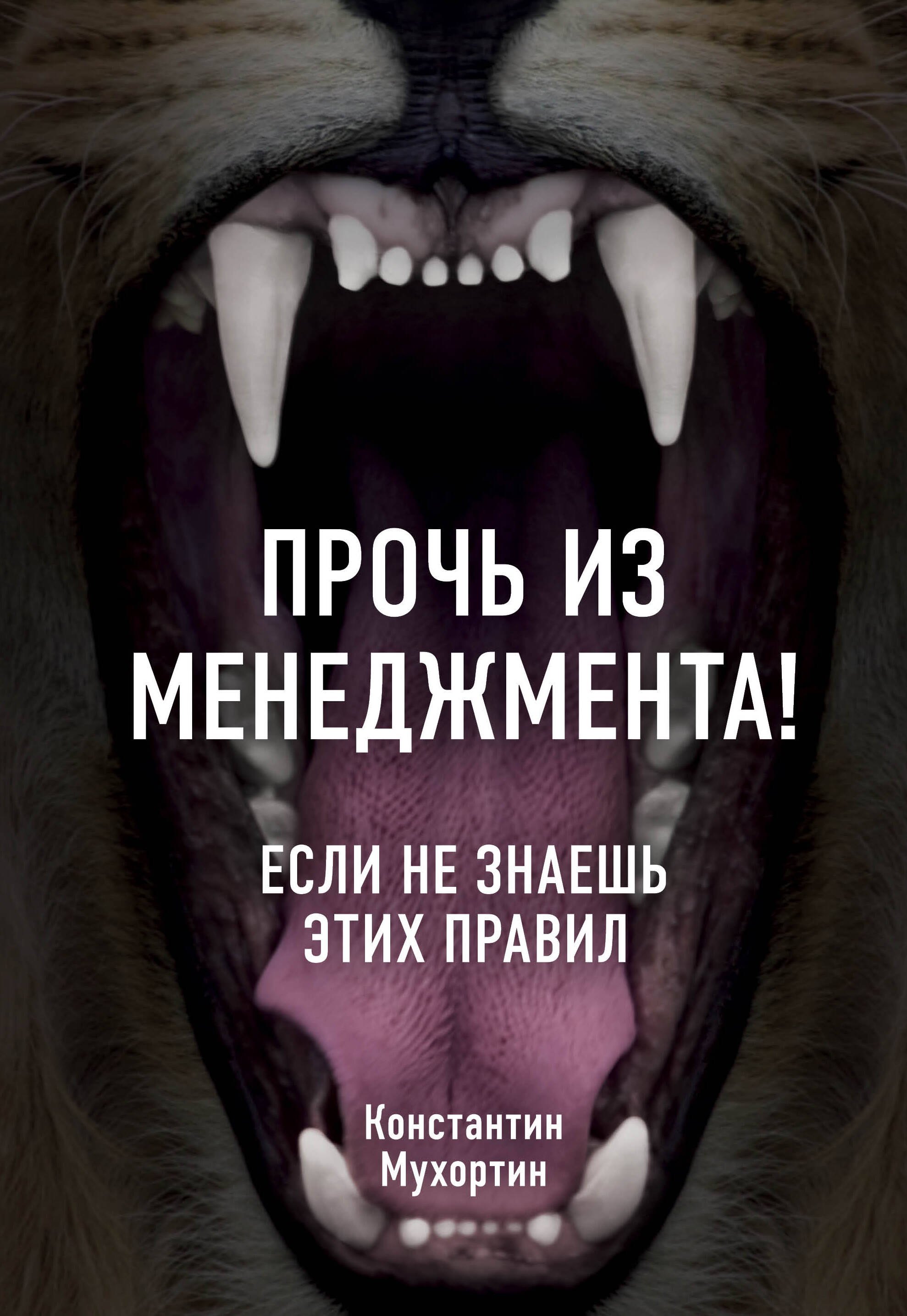 

Прочь из менеджмента! Если не знаешь этих правил