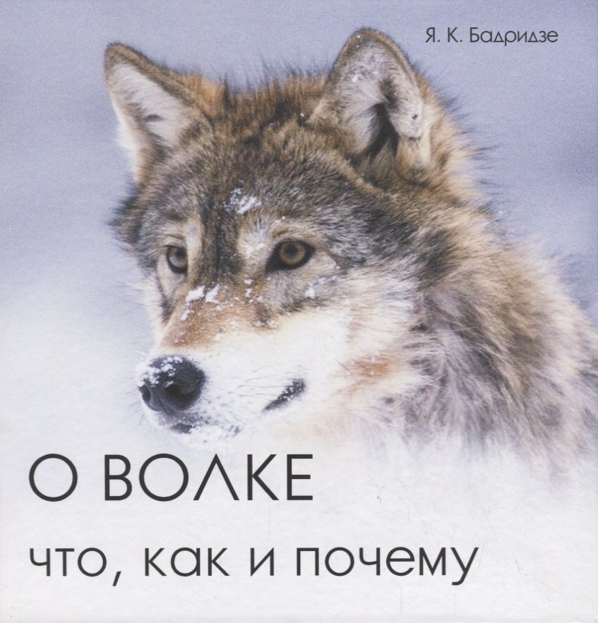 

О волке. Что, как и почему
