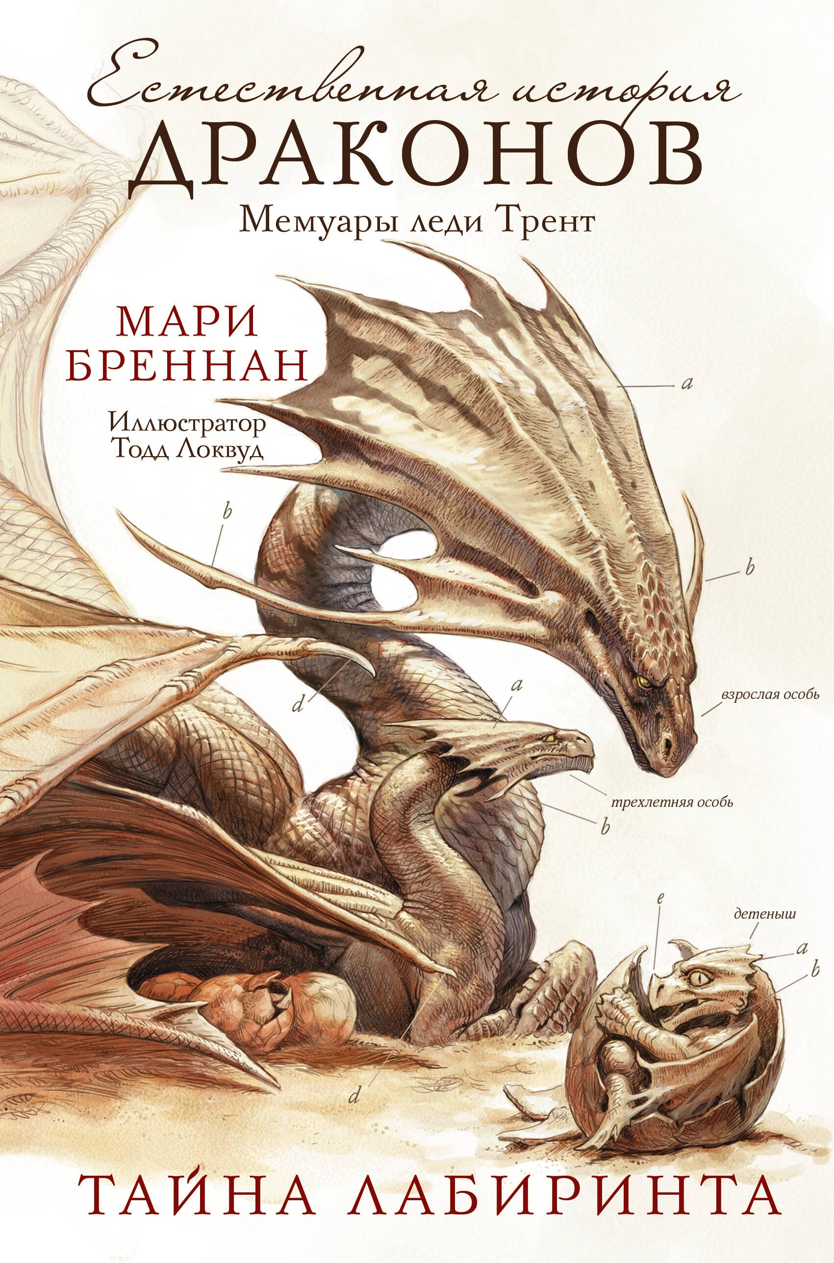 

Тайна Лабиринта. Мемуары леди Трент